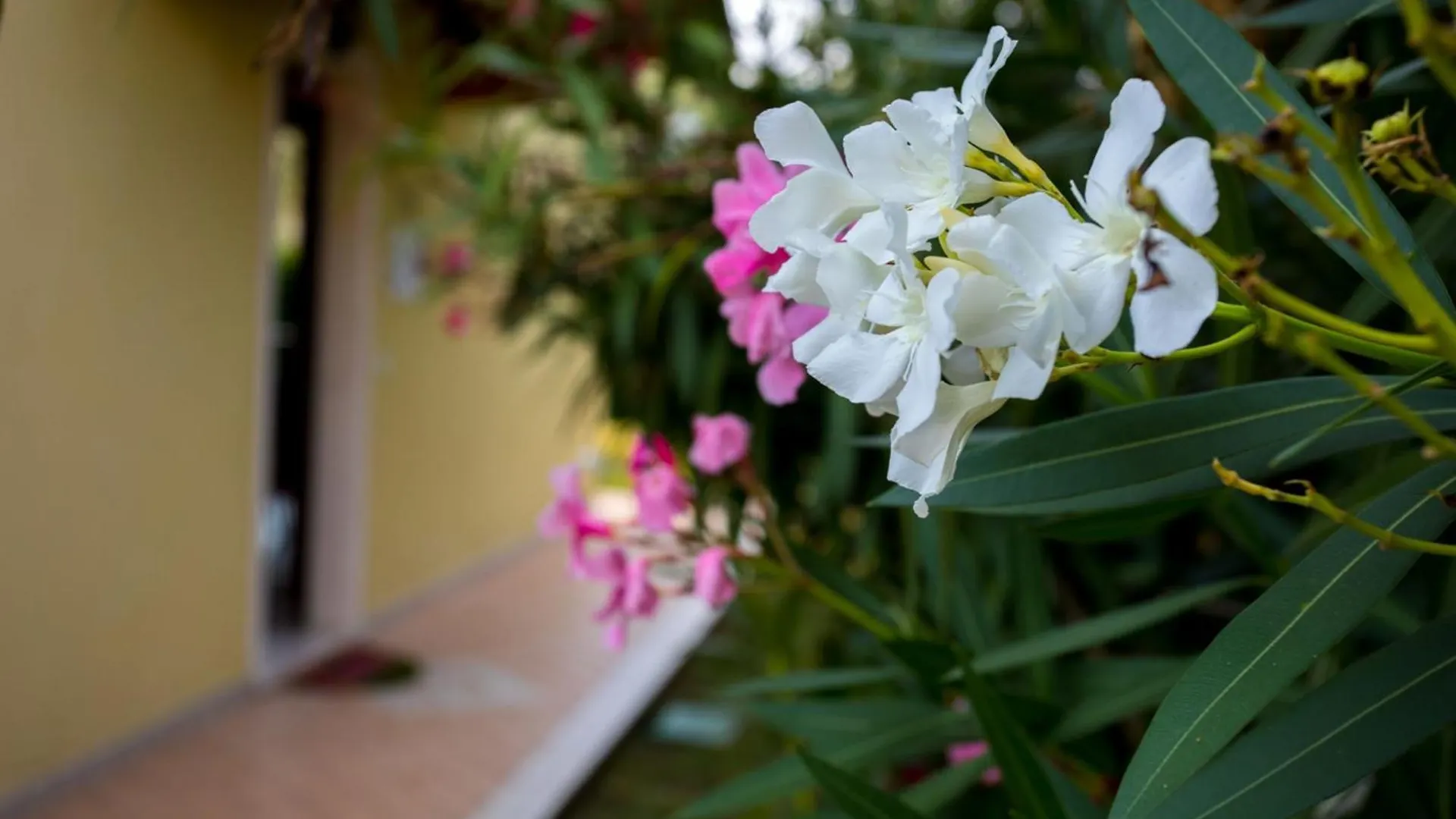 Wonderful Villa On The Garda Lake With Private Garden Salo Italy