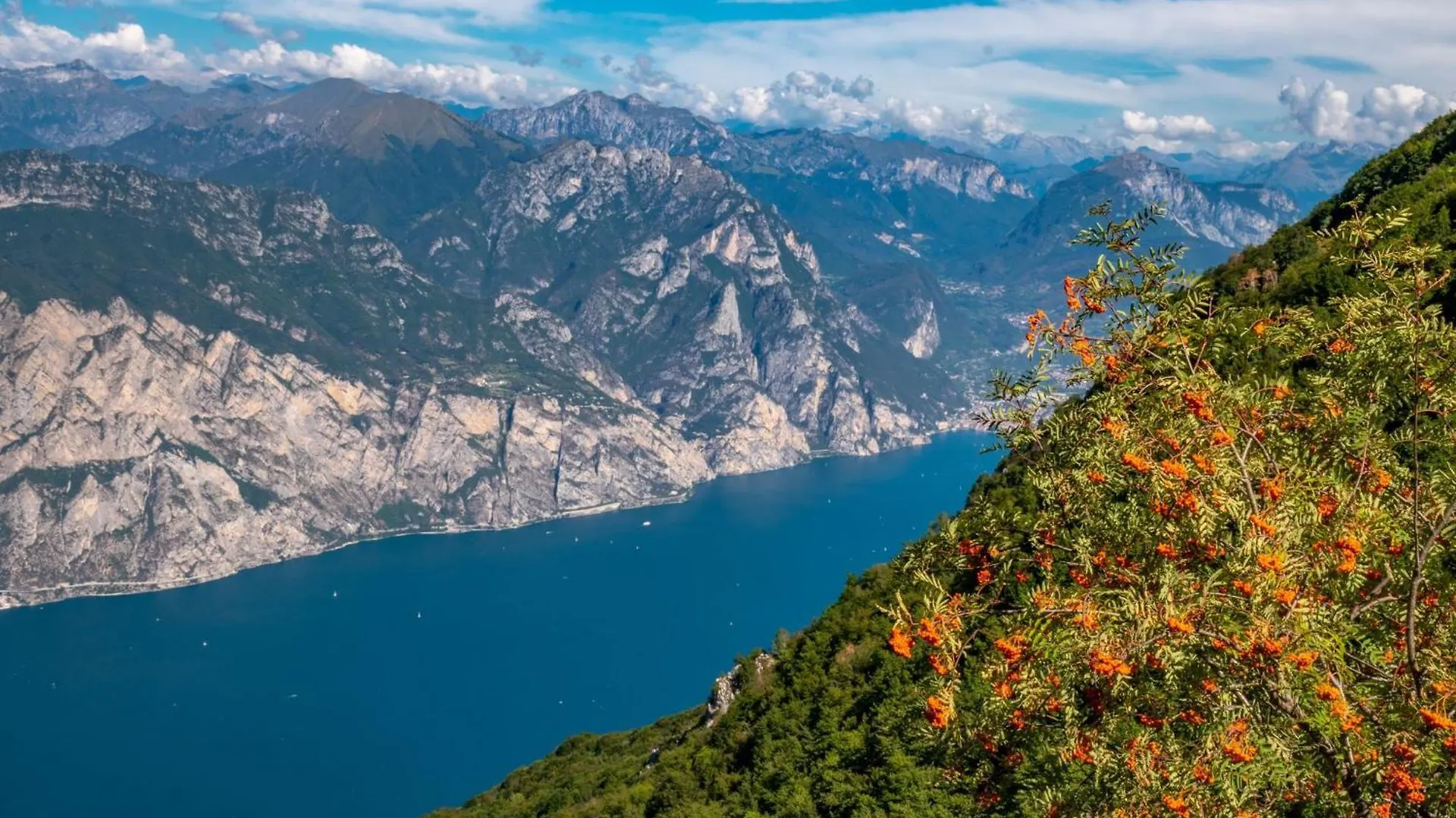 Wonderful Villa On The Garda Lake With Private Garden Salo